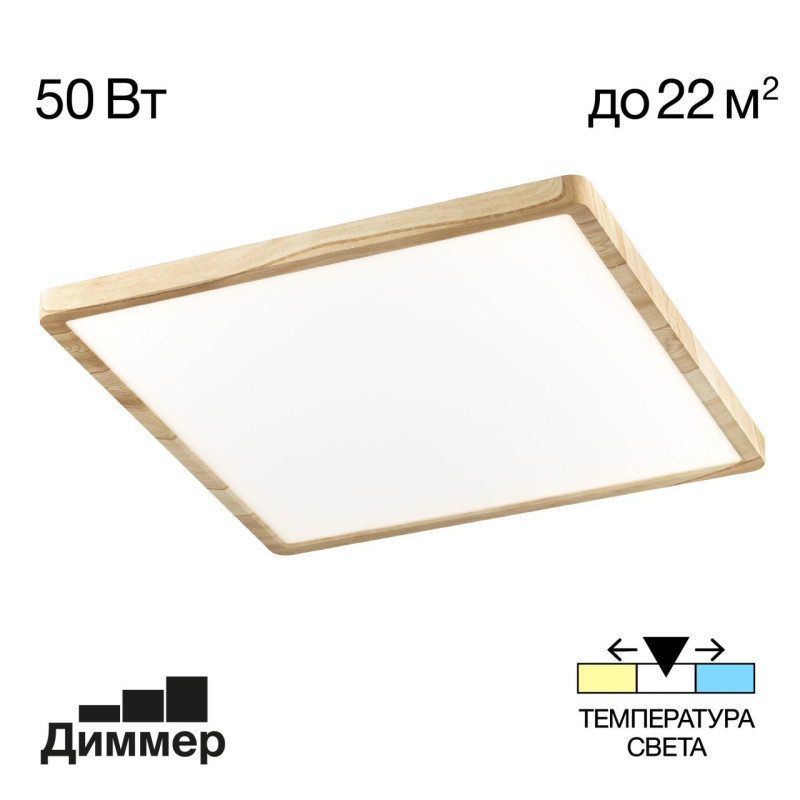 Потолочный светильник Citilux Бейсик CL738K502V