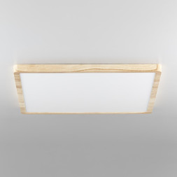 Потолочный светильник Citilux Бейсик CL738K502V