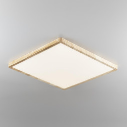 Потолочный светильник Citilux Бейсик CL738K502V