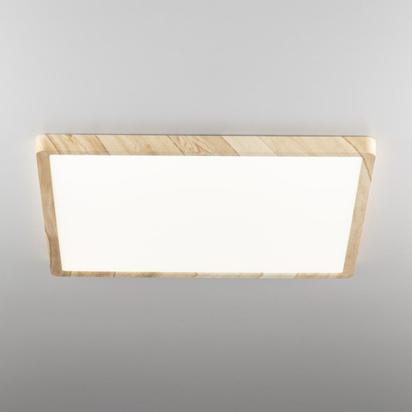 Потолочный светильник Citilux Бейсик CL738K502V