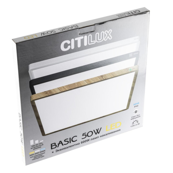 Потолочный светильник Citilux Бейсик CL738K502V