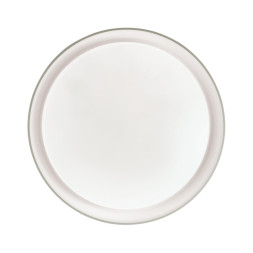 Потолочный светильник Sonex BIONIC 3030/DL