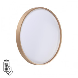 Потолочный светильник Sonex 7783/DL GABY