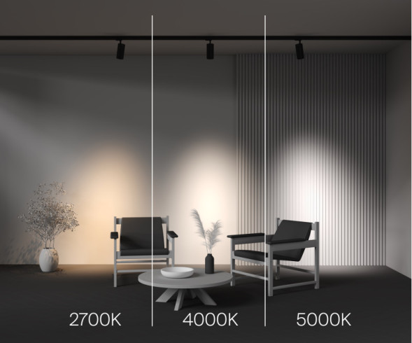 Светодиодный трековый светильник Maytoni Technical FOCUS LED TR197-3-30WCCT-M-B