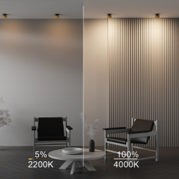 Встраиваемый точечный светильник Maytoni Technical ONDA DL024-12W-DTW-BMG