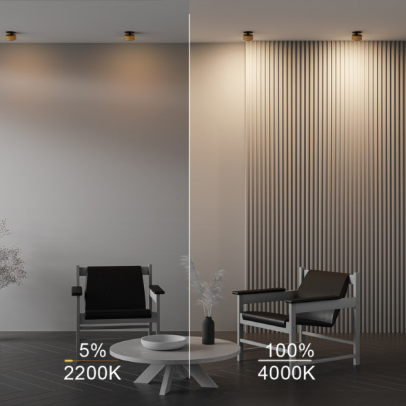 Встраиваемый точечный светильник Maytoni Technical ONDA DL024-12W-DTW-BMG