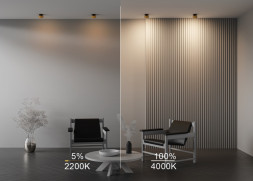 Встраиваемый точечный светильник Maytoni Technical ONDA DL024-12W-DTW-BMG