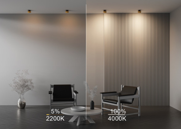 Встраиваемый точечный светильник Maytoni Technical ONDA DL024-12W-DTW-BMG