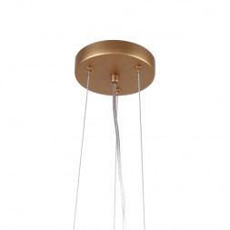 Подвесная люстра Favourite Babylon 2515-10P