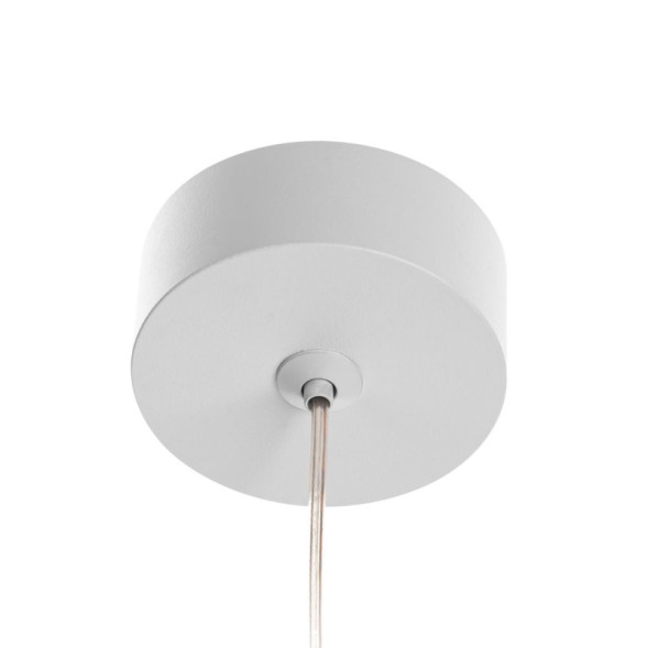 Подвесной светильник Citilux CL002P10 Hardy