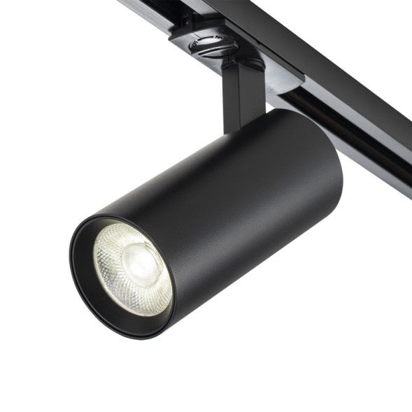 Светодиодный трековый светильник Escada 20002 20002TRA/02LED SBK