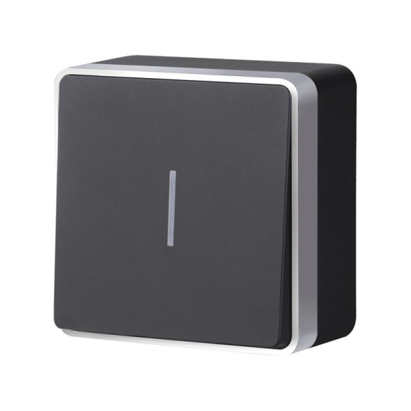 Выключатель Werkel Gallant W5010134 черный с серебром