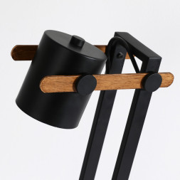 Настольная лампа F-Promo SCANDY 3004-1T