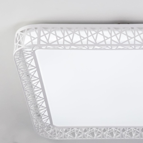 Потолочный светильник Citilux Герцог CL722080RC