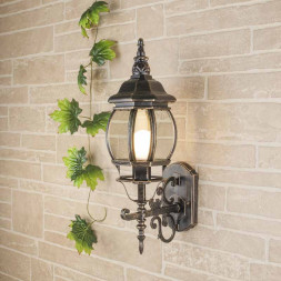 Уличный настенный светильник Elektrostandard GL 1011U черное золото