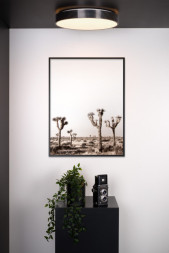 Потолочный светильник LUCIDE MALIN 79184/24/30