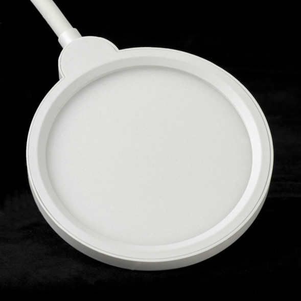 Торшер Lussole AMADOR LSP-0919