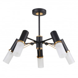 Люстра на штанге F-Promo Viator 2558-5P