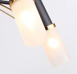 Люстра на штанге F-Promo Viator 2558-5P