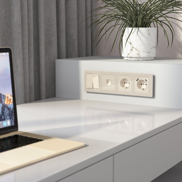 Розетка Werkel W1181043