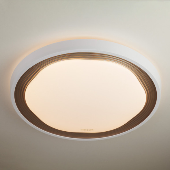 Потолочный светильник Eurosvet 40006/1 LED кофе