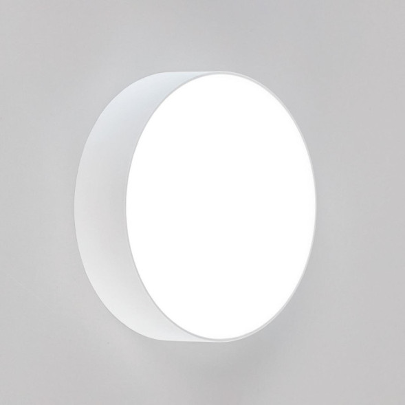 Потолочный светильник Citilux Тао CL712120N