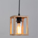 Подвесная люстра ARTE Lamp Dublin A7025SP-1BK