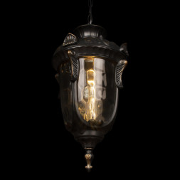 Подвесной уличный светильник LOFT IT MARBELLA 100002P