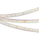 Лента Arlight RTW-PFS-B60-13mm 5060 036443 72W 24V белый (холодный) IP68