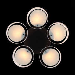 Люстра на штанге Evoluce Foresta SL483.402.05