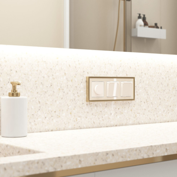 Розетка Werkel W1171243