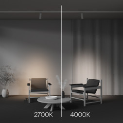 Светодиодный трековый светильник Maytoni Technical Focus Zoom TR198-3-20W2.7K-Z-W