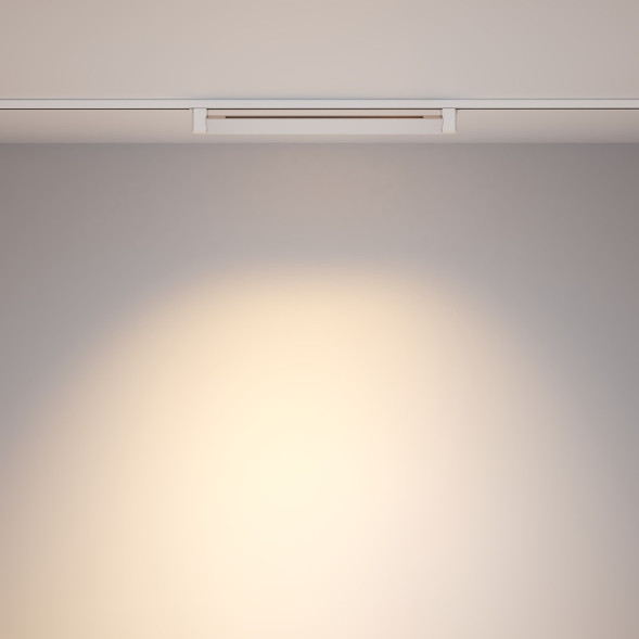 Светодиодный трековый светильник Maytoni Technical Points Rot TR010-1-20W3K-M-W