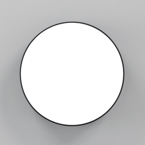 Потолочный светильник Citilux Тао CL712122N