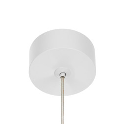 Подвесной светильник Citilux CL565010 BRUNO