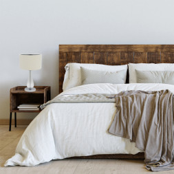 Настольная лампа Escada 10206/T Clear ERSA