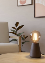 Настольная лампа EGLO ASBY 44015