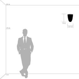 Бра Lightstar Murano 603620