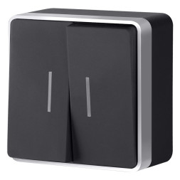 Выключатель Werkel Gallant W5020134 черный с серебром