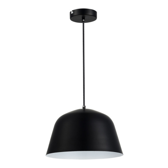 Подвесной светильник Evoluce BLANK SLE1805-403-01