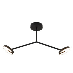 Подвесной светильник Favourite Paritet 4401-2C