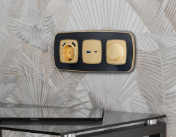 Рамка Ambrella Volt OF640542 OMEGA Coint