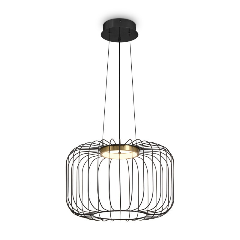 Подвесной светильник Freya FR5398PL-L8B Citrus