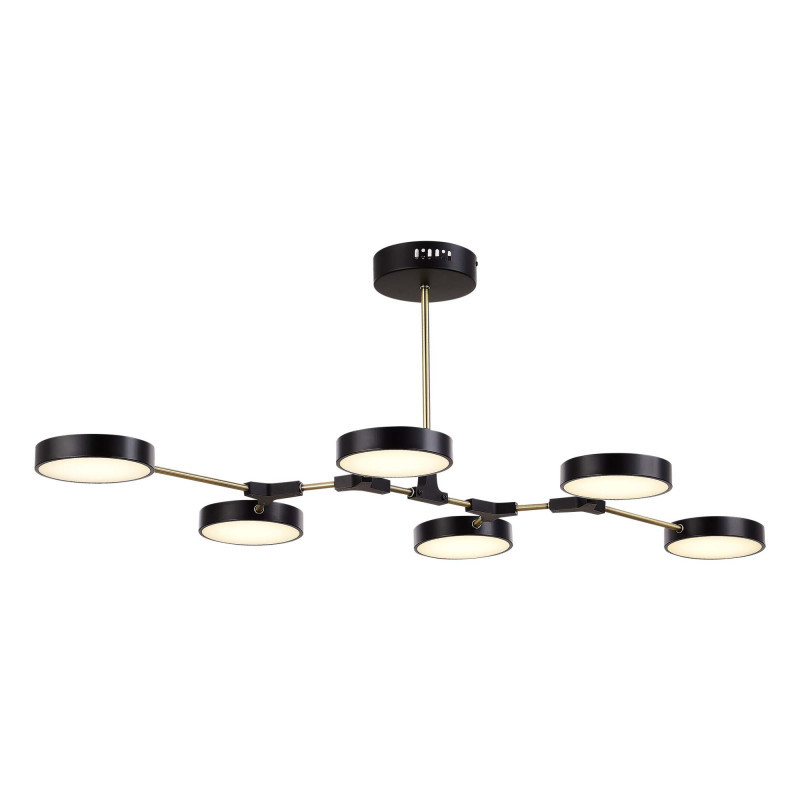 Люстра на штанге Evoluce SLE6004-402-06 MONTA