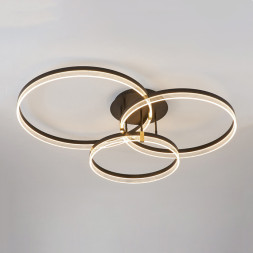 Потолочный светильник ImperiumLoft 231151-23