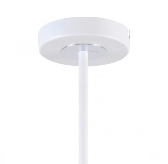 Люстра на штанге F-Promo Viator 2559-5P