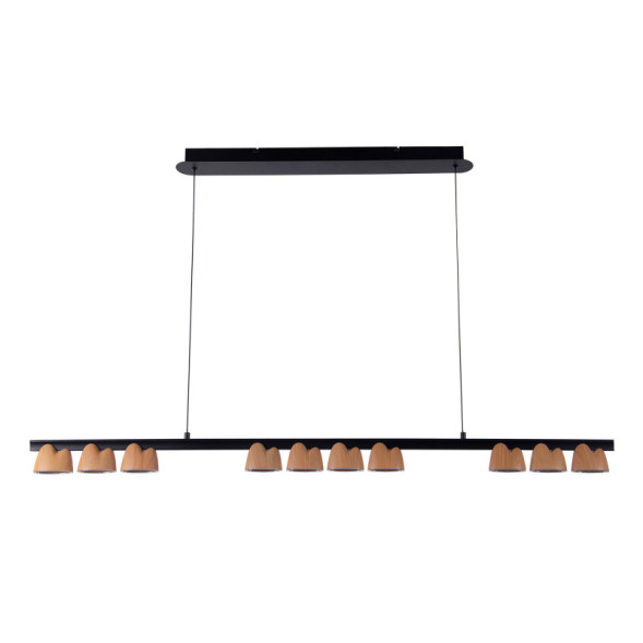 Подвесная люстра Favourite Interline 4266-10P