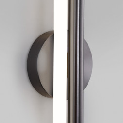 Светильник для картин и зеркал Eurosvet Talus 50265 LED титан