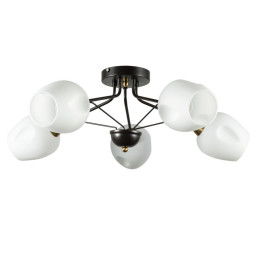 Потолочная люстра ARTE Lamp Brighton A2706PL-5CK