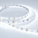 Лента Arlight RT 2-5000 2835 016889(1) 36W 12V белый (холодный) IP20